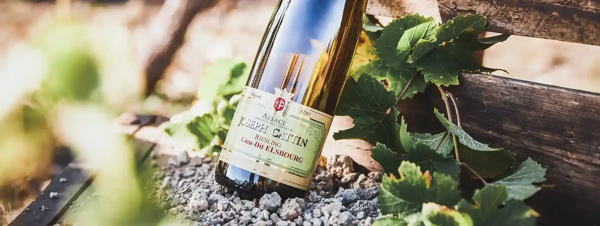 JOSEPHCATTIN RIESLING LIEUDIT ELSBOURG