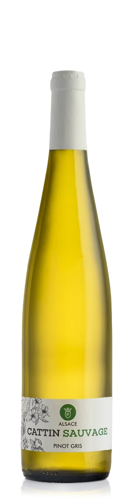 Pinot Gris Sauvage BIO