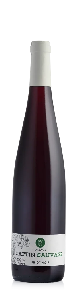 Pinot Noir Sauvage BIO