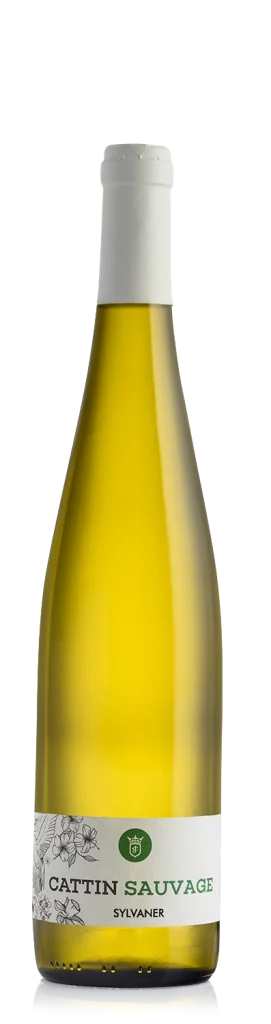 Sylvaner Sauvage BIO